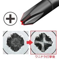 エスコ 2本組 [+]ブレイクビスドライバーセット EA557WC-110 1セット(4セット)（直送品）