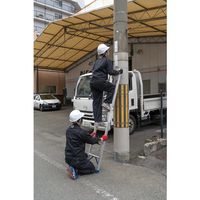 ピカコーポレイション PiCa 電柱はしごSWK型 電柱支え・巻付けベルト標準装備 2.1m SWK-B20C 1台 542-6987（直送品）