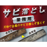 業務用さび落とし スプレー 4595317487065 1セット(1個×6)