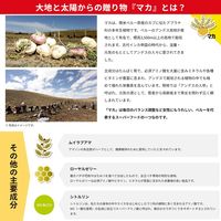 マカの元気ドリンク100mlボトル缶 1セット（1本×3） ポッカサッポロ