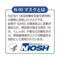 竹虎 サージマスクNー95(折りたたみ式)10枚入り 076078 1箱(10枚入)