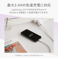 オウルテック グラデーションカラー 急速充電2.4A/データ転送 Lightningケーブル OWL-CBAUAL10-GD 1個
