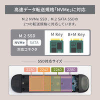 NVMe/SATA Type-A/C M.2 SSD 外付けケース シルバー OWL-ESM2UAC-SI 1個