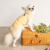 【アウトレット】Solgra（ソルグラ）ポイント刺繍タンク M イエロー 1個 犬用 アルクロース