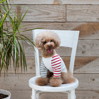 【アウトレット】Jekyll Egg（ジキルエッグ）無地ロング袖 M オフホワイト 1個 犬用 アルクロース