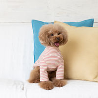 Jekyll Egg（ジキルエッグ）ボーダーロング袖 S ピンク 1個 犬用 アルクロース