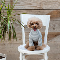 Jekyll Egg（ジキルエッグ）ボーダーロング袖 M グレー 1個 犬用 アルクロース