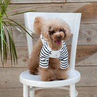 Jekyll Egg（ジキルエッグ）星柄ロング袖 M オフホワイト 1個 犬用 アルクロース