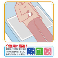 アーテック 【介護/医療】清拭 使い捨て防水シーツ 10枚組 051872 1ケース(1点×16))（直送品）
