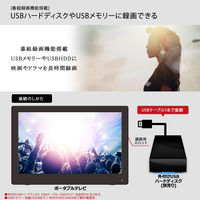 ダイアモンドヘッド 10.1インチポータブルテレビ&マルチプレーヤー APT-101FP 1台（直送品）