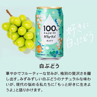 チューハイ カジューハイ100％ 3種飲み比べセット 1セット(3種×各2本)