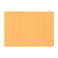 プラス フラットファイルB4E縦罫線タイプYL 98217 1セット(1冊×10)