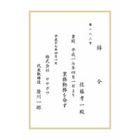 ササガワ OA辞令用紙 B5判 三重枠 9-1400 1冊(20枚)