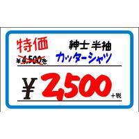 ササガワ ショーカード 小 ブルー枠¥入り 17-5149 1冊(50枚)