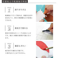 パジコ 石塑粘土 ラドールプレミックス 400g 日本製 PDC303130 1セット(1個×3)