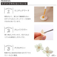 パジコ 樹脂粘土 モデナホワイト 250g 白 日本製 303109 PDC3109 1セット(3個)