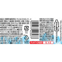 サントリー天然水 特製ヨーグルスカッシュ 500ml 1箱（24本入）