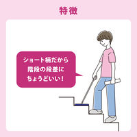 激落ちくん ケース付きワイパー トレループ 階段用 1個 レック