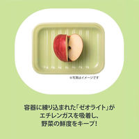 ロック＆ロック キープフレッシュ 鮮度保持 保存容器 長方形 3.2L グリーン 食洗機・電子レンジ対応 1個 ベストコ