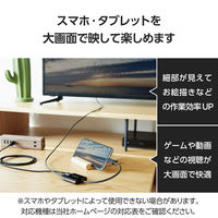 エレコム USB-C to HDMI 変換&給電ポート 15cm 4K 60Hz 黒 MPA-CHDMIPD15BK 1個（直送品）