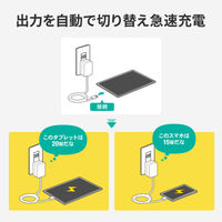サンワサプライ USB PD対応AC充電器(PD20W・TypeCケーブル一体型) ACA-PD102W 1個