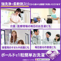 （在庫処分）ボールド ジェルボール4D ホワイトラベンダー 詰め替え テラジャンボ 1箱（97粒入×3個）洗濯洗剤 P＆G【旧品】