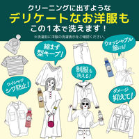 ラボン LAVONS シャレボン オシャレ着洗剤 ブルーミングブルー 詰め替え 2倍サイズ 800ml 1個 衣料用洗剤 ネイチャーラボ