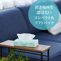 【アウトレット】【アウトレット】ティッシュペーパー 150組（5個）エリエール イーナソフトパック 海外 1パック（5個入） 大王製紙