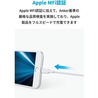 Anker PowerLine II ライトニングケーブル 0.3m
