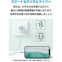 Anker PowerPort III Nano 20W