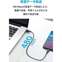 Anker PowerLine III USB-C&USB-C 2.0 ケーブル