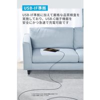 Anker 310 & USB-C ケーブル 3.0m