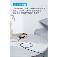 Anker 310 & USB-C ケーブル 1.8m