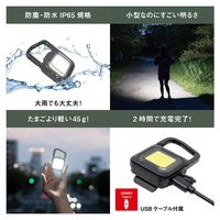 充電式ぴかり MINI LIGHT マットブラック 1個 ムサシ 犬用 お散歩