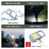 充電式ぴかり MINI LIGHT ダスティブルー 1個 ムサシ 犬用 お散歩