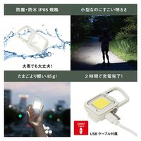充電式ぴかり MINI LIGHT オフホワイト 1個 ムサシ 犬用 お散歩