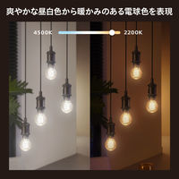 Signify フィラメント ホワイトグラデーション E26 電球 一般電球形 40W形相当 PHFL60 1個（直送品）