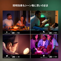 シグニファイジャパン Go ポータブル アクセントランプ PHGOAC 1台（直送品）