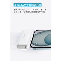 モバイルバッテリー Anker 621 Power Bank (USBーC Connector) A1648N21 1個