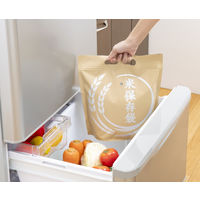 カワタキコーポレーション お米用保存袋 3kg用 1袋（2枚入）