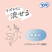 ソフイ デリケートウェット トイレに流せる 無香料 1セット（1パック（10枚×2コ入）×3）ユニ・チャーム