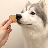 ペティオ 素材そのまま 完全無添加 ササミ パリッと 極薄チップス 50g 1袋 犬用 おやつ