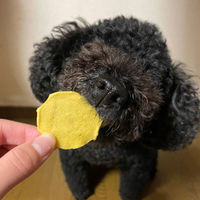 ペティオ 素材そのまま 無添加 さつまいも パリッと 極薄チップスタイプ 85g 1袋 犬用 おやつ