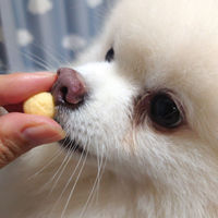 ペティオ おいしくスリム 砂糖・脂肪分ダブルゼロ カリカリボーロ おいも入り 国産 80g 1袋 犬用 おやつ