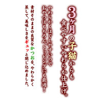 ペティオ 素材そのまま ねこちゃんのやわらか蒸しかつお かつお節味 2本入 1袋 猫用 おやつ