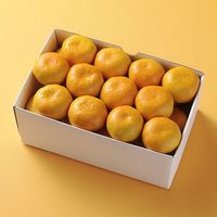 フルーツワールド 2024【御歳暮】のし付き 愛媛みかん[3kg] fw-em3kg 1箱（直送品）