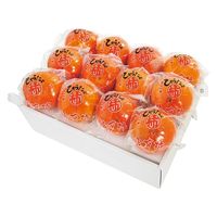 アデリー 2024【御歳暮】のし付き ひらたの富有柿(個包装)12個 FYK-C6S 1箱（直送品）