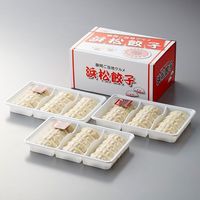 アイエスワイ 2024【御歳暮】のし付き 静岡B級グルメ浜松餃子45粒 HG-3 1箱（直送品）