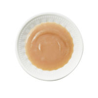 i CARE（アイケア）腎臓ケア かつおペースト 国産 35g 1セット（1袋×24）アイシア キャットフード