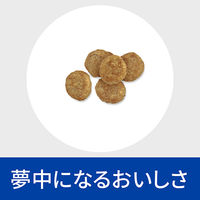 プリスクリプションダイエット w/d 小粒 犬用 療法食 消化 体重 糖尿病の管理 チキン 1kg 1袋 ヒルズ